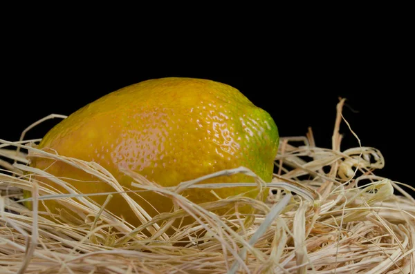 Citroenschijfjes Close Voedsel Zomer Achtergrond Fruit Top View — Stockfoto