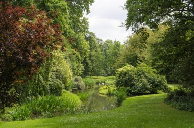 Canlı yeşil bir parktaki sakin bir manzara manzarada kıvrılarak akan küçük bir akarsu. Bankalar yemyeşil ağaçlar ve çalılarla kaplı. Huzurlu ve güzel bir doğal ortam yaratıyorlar.