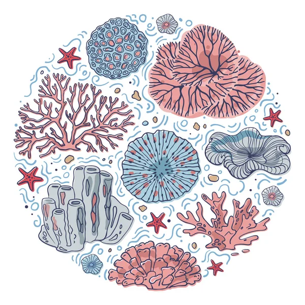 Coral Reef Line Art Stílusban Készült Tenger Óceán Növények Sziklák — Stock Vector