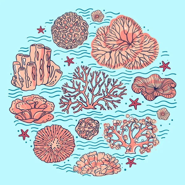 Korálový Útes Art Stylu Čáry Moře Oceánu Rostliny Skály Izolované — Stockový vektor