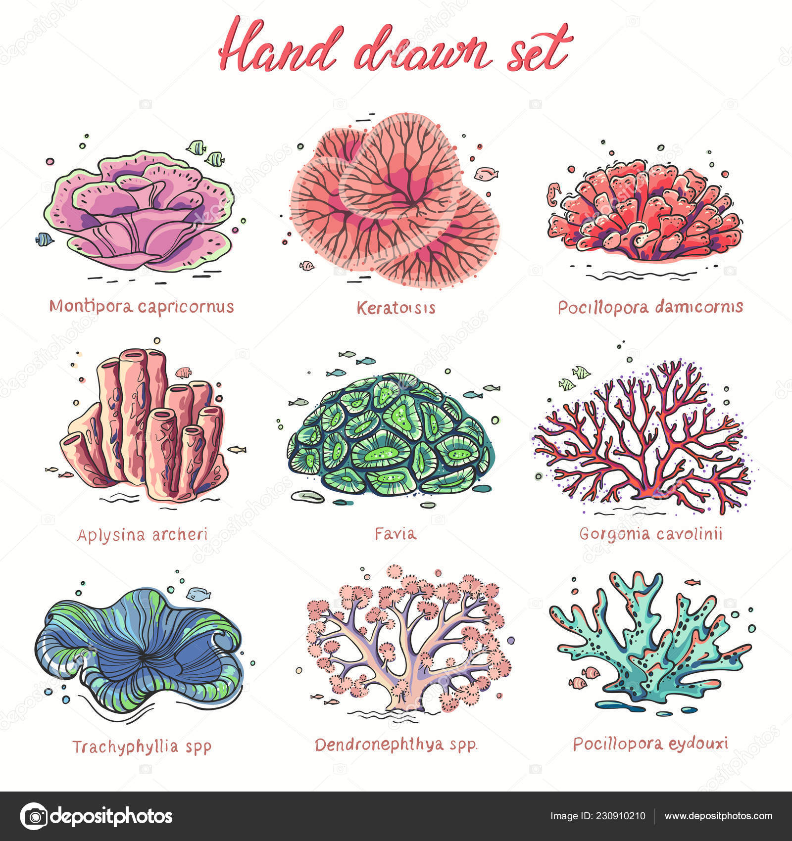 4095万Elements vector 免版税图片、库存照片和图像| Shutterstock, image size:1600x1700