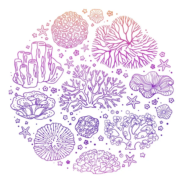 矢量集的水下海洋设计元素 海星和珊瑚的各种轮廓 被白色背景隔离 为了说明印刷 网站和任何你能想到的东西 — 图库矢量图片