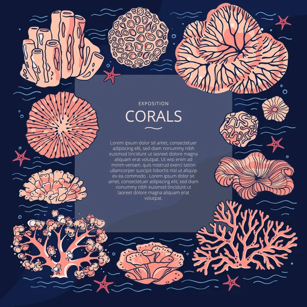 Designmallar För Broschyrer Visitkort Täcker Banners Med Illustrationer Koraller Vector — Stock vektor