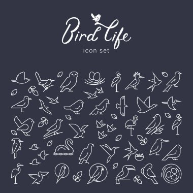 Vektör düz kuş simgesi ince çizgi stili ayarla. Basit minimalist kuş logosu. Kuşlar kutsal kişilerin resmi, hayvan işaret, sembol üzerinde arka izole.