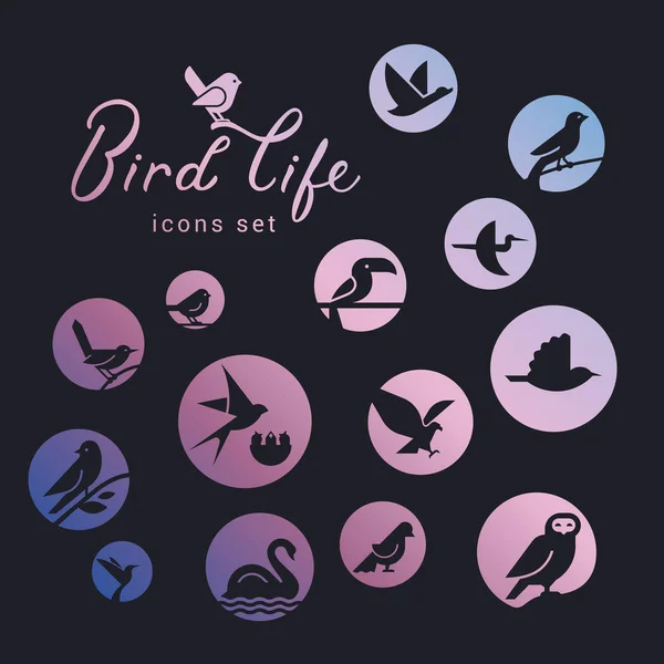 Conjunto de iconos de iconos vectoriales inscritos en un círculo lleno de un gradiente sobre el tema de la vida silvestre de las aves . — Vector de stock