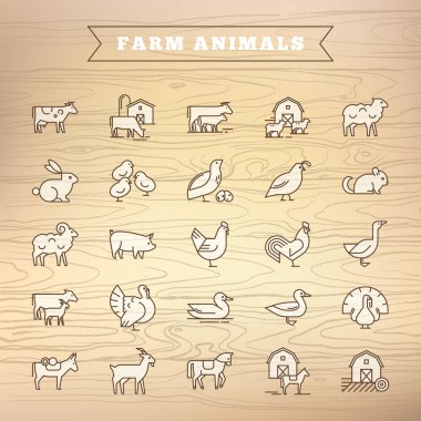 Düz biçimdeki resimlerin toplanması, iyi çizilmiş ve izole edilmiş