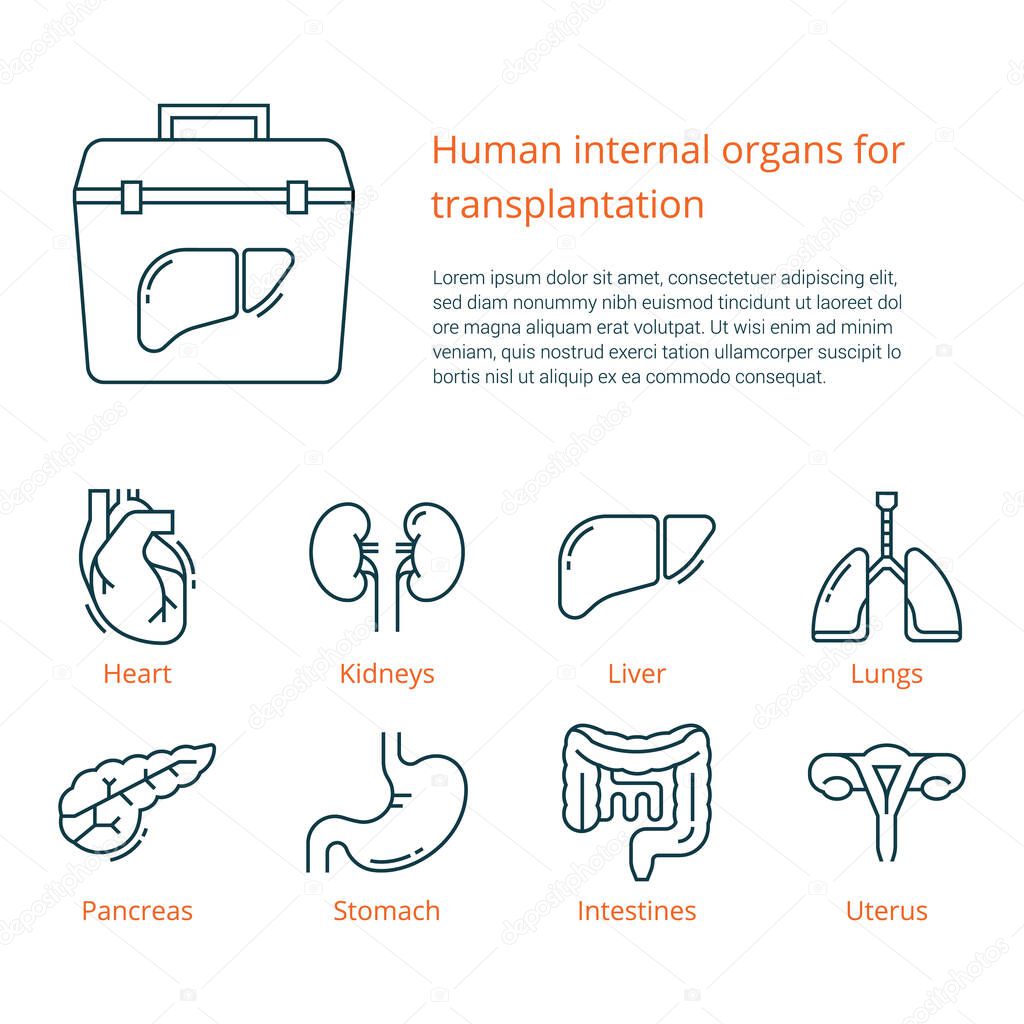 Large set of linear vector icons of human internal organs for transplantation with a place for text