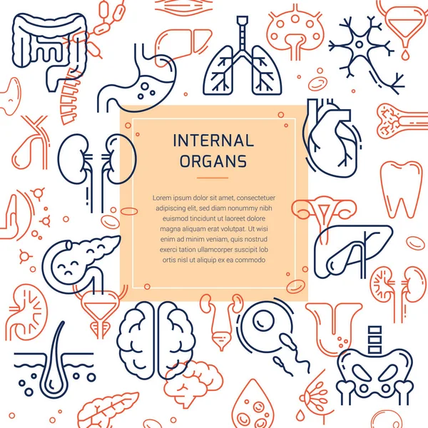 Medicinsk mall med ett sömlöst mönster av flerfärgade linjära ikoner av inre mänskliga organ — Stock vektor