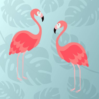 İki pembe flamingo. Vektör çizim