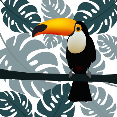 Tukan, egzotik kuşlar, palmiye yaprakları, orman yaprakları, cennet kuşu