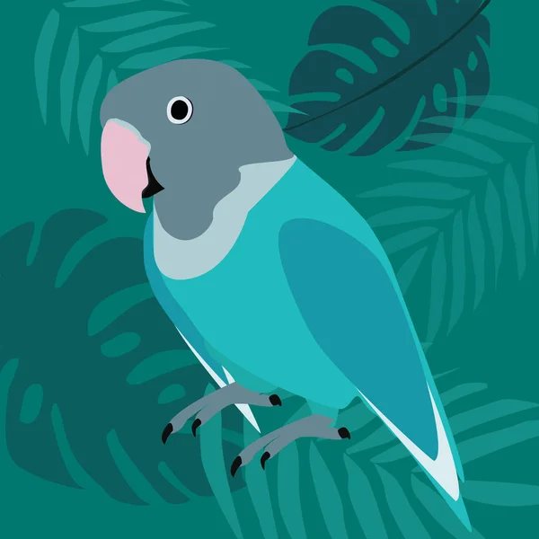 Πολύχρωμο Παπαγάλων Και Εξωτικά Φύλλα Εικονογράφηση Διάνυσμα — Διανυσματικό Αρχείο