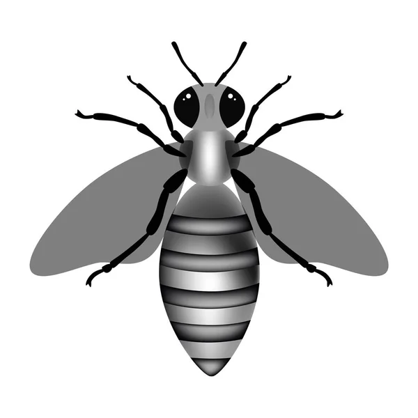 Abeille Noire Blanche Sur Fond Blanc Illustration Vectorielle — Image vectorielle