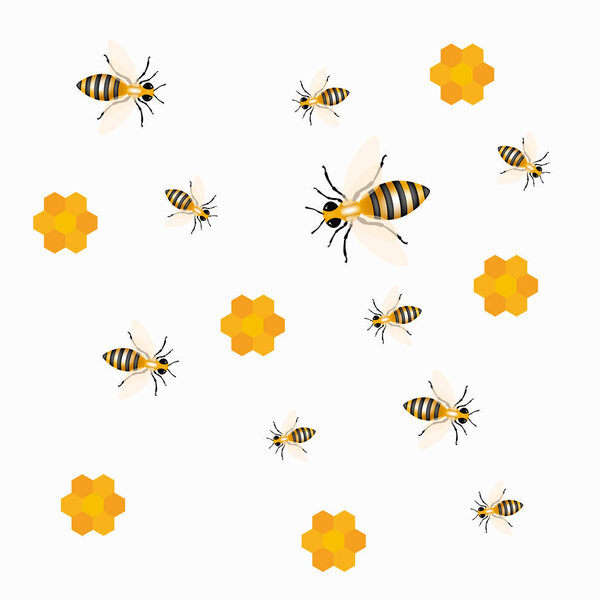 Медовые пчелы на белом фоне. Векторная иллюстрация
