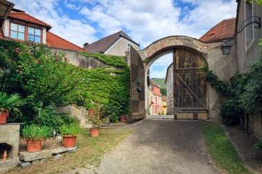 Sarmaşık kaplı ülke avlu. Weissenkirchen in der Wachau, bölge, Krems-arazi, Aşağı Avusturya, Europe.