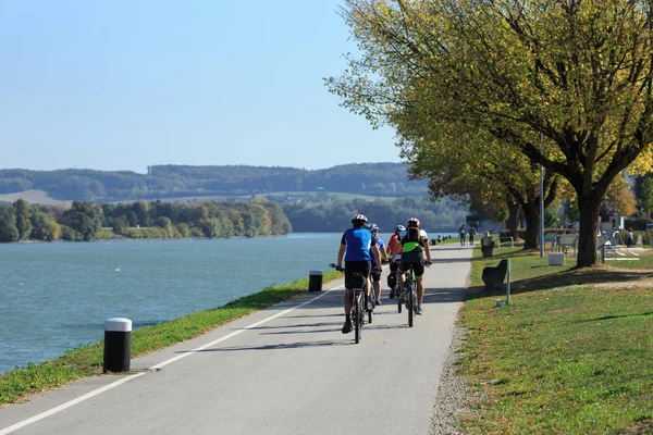 Bir grup insan ünlü Bisiklete binme rotasında Donauradweg Tuna Nehri boyunca bisiklet sürme. Ybbs kasaba bir der Donau, Aşağı Avusturya, Europe.