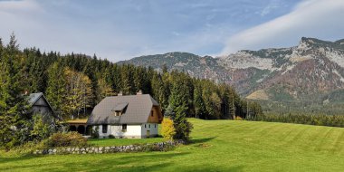 Alp Köyü çevrili. Styria, Avusturya, Avrupa'nın devlet.