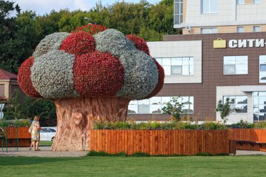 Ekiyat Kukla Tiyatrosu 'nun önündeki meydanda çiçek festivali. Kazan şehri, Tataristan Cumhuriyeti, Rusya Federasyonu.