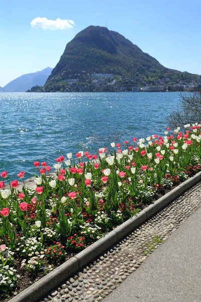 Embankment Del Lago Lugano Con Tulipanes Florecientes Vista Montaña San — Foto de Stock