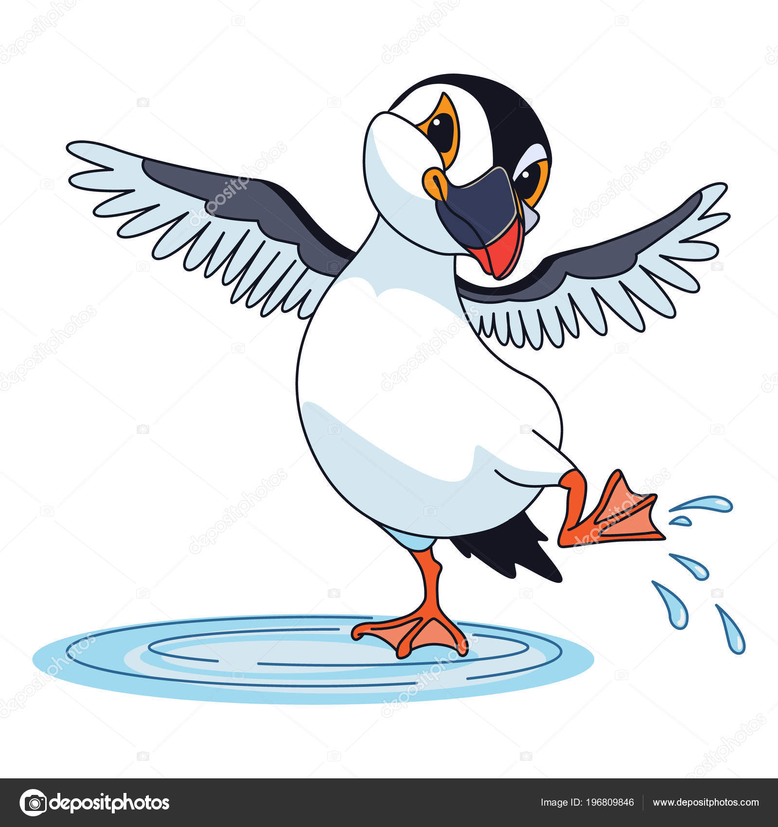 Macareux Moine Sauter Dans Une Flaque Eau Dessin Animé