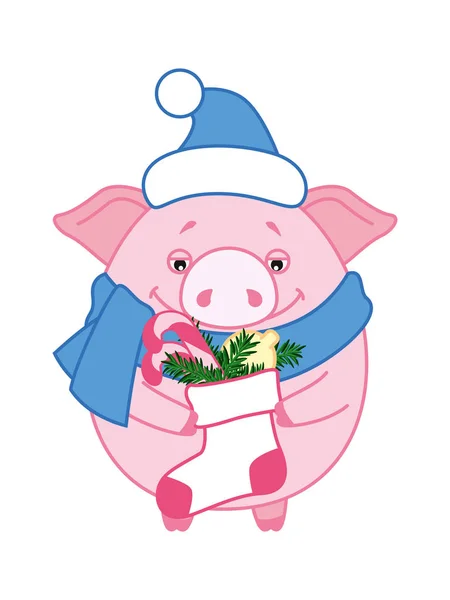 Bir mavi atkı ve şapka neşeli domuz bir çorap Noel hediyeleri ile tutar. Çin takvimine yeni yılda 2019 sembolü. Vektör. Karikatür tarzı.