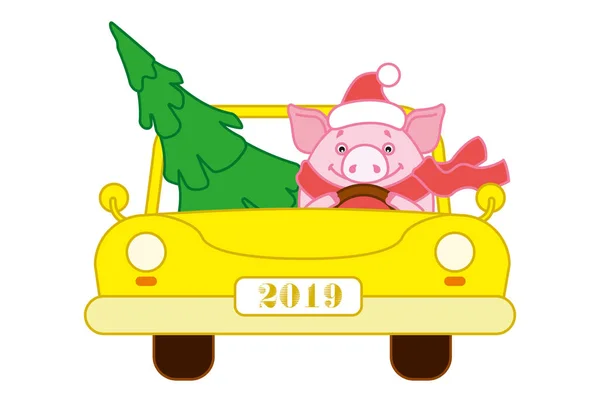 Bir şapka ve atkı sarı araba şanslı Noel ağacına domuz. Çin takvimine yeni yılda sembolü. 2019. vektör. Gösterim amacıyla kartpostallar, çıkartmalar, posterler