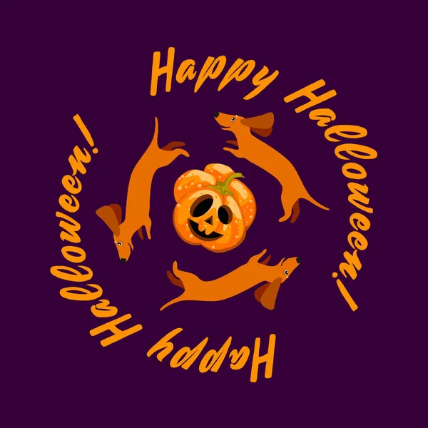 Három Tacskó Egy Ijedt Tök Szaladgált Boldog Halloween Felirat Poszter — Stock Vector