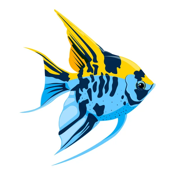 Melek Balığı Egzotik Dekoratif Akvaryum Balık Vektör — Stok Vektör