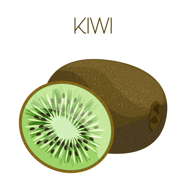 Des Kiwis Image Vectorielle Sur Fond Isolé — Image vectorielle