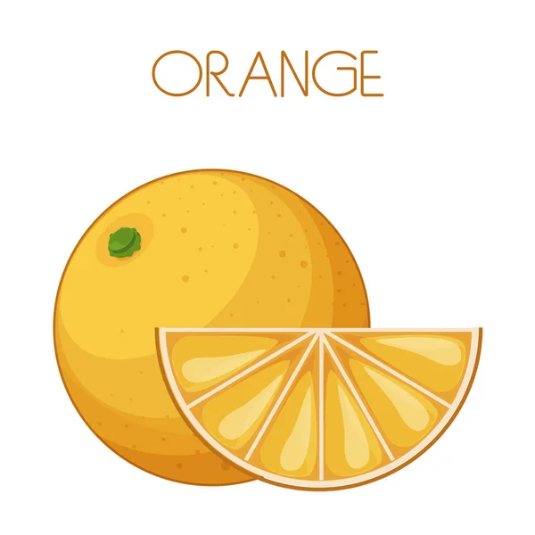 Narancssárga Vektor Kép Elszigetelt Háttér — Stock Vector