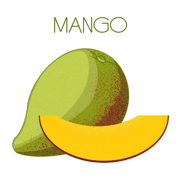 Mango Vektor Kép Elszigetelt Háttér — Stock Vector
