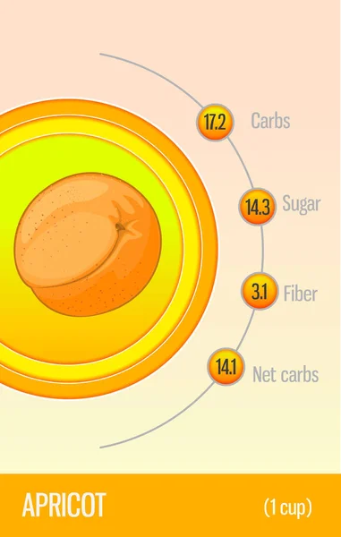 Cartão Carboidratos Açúcar Fibra Frutas Alperce Informação Para Nutricionistas Diabéticos — Vetor de Stock