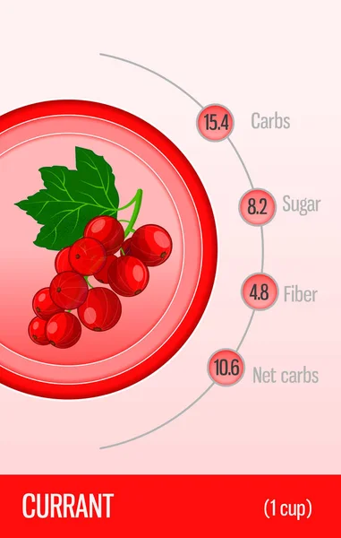 Cartão Carboidratos Açúcar Fibra Frutas Groselha Informação Para Nutricionistas Diabéticos — Vetor de Stock