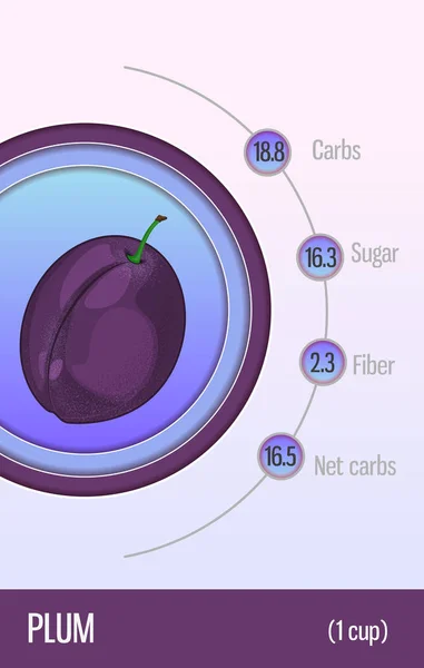 Cartão Carboidratos Açúcar Fibra Frutas Ameixa Informação Para Nutricionistas Diabéticos — Vetor de Stock