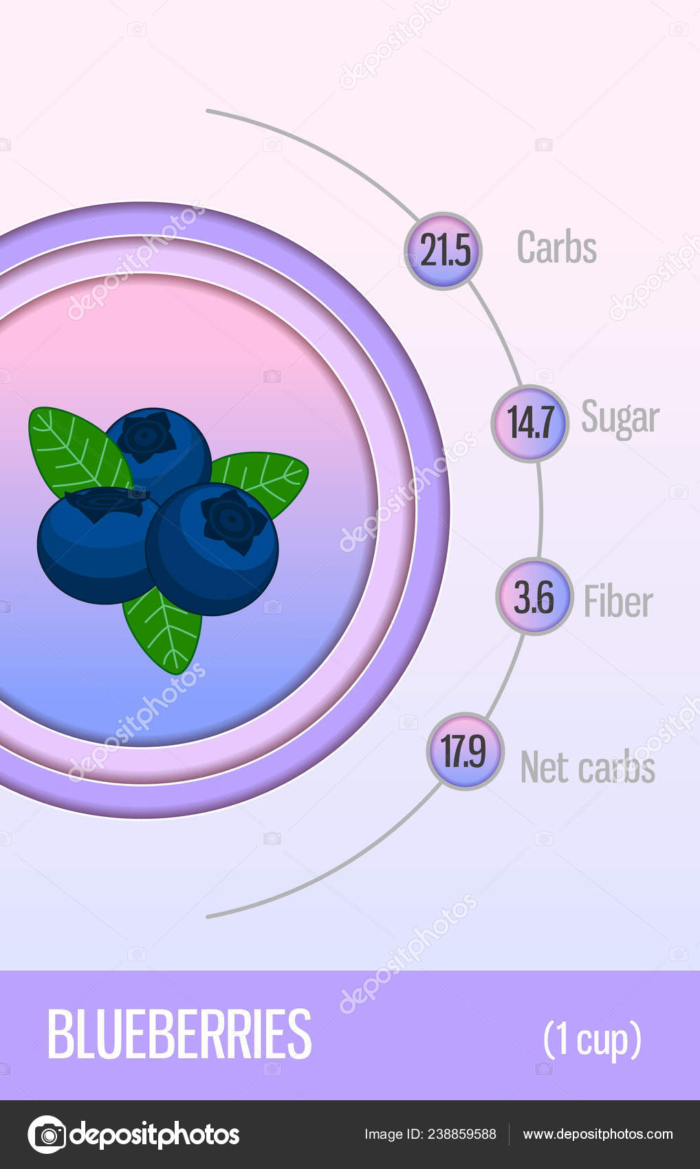 Card Carbohydrates Sugar Fiber Fruits Blueberry Information Dietitians