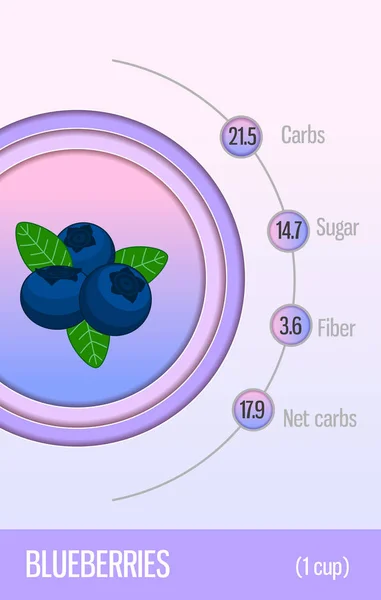 Tarjeta Carbohidratos Azúcar Fibra Las Frutas Arándanos Información Para Dietistas — Vector de stock