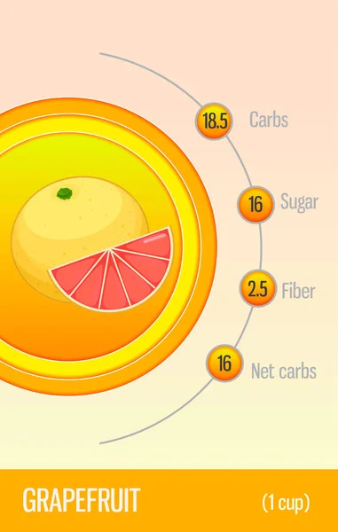 Tarjeta Carbohidratos Azúcar Fibra Las Frutas Pomelo Información Para Dietistas — Vector de stock