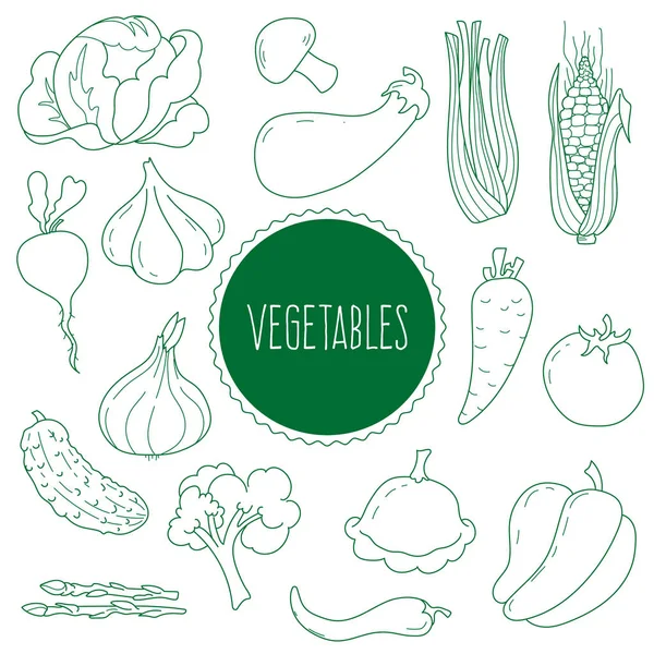 Conjunto Elementos Sobre Tema Las Verduras Estilo Doodle Col Remolacha — Vector de stock