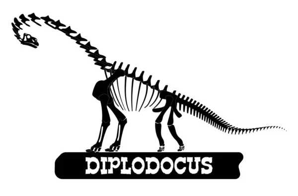 Esqueleto de dinossauro. Diplodoc. Silhueta em fundo isolado . — Vetor de Stock