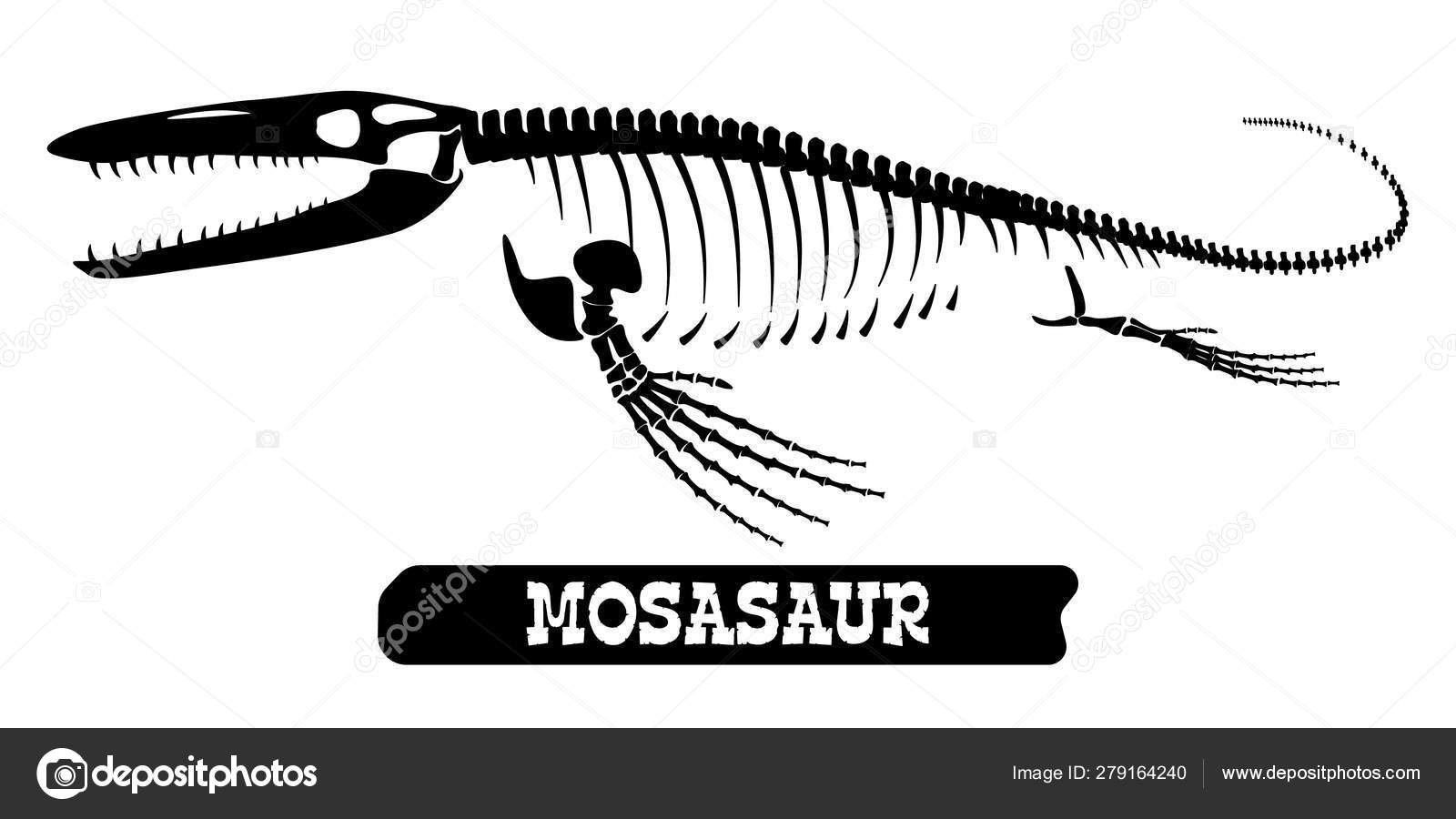 モササウルスストックベクター ロイヤリティフリーモササウルスイラスト Depositphotos モササウルスストックベクター ロイヤリティフリーモササウルスイラスト Depositphotos