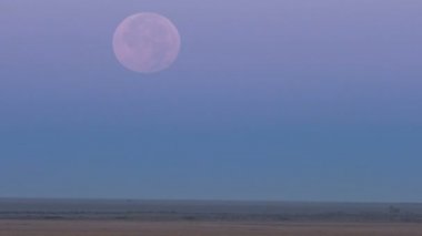 Vahşi ve yeşil çayır Torgay Kazakistan ufukta yukarıda öğleden sonra gökyüzünde dolunay görülür.