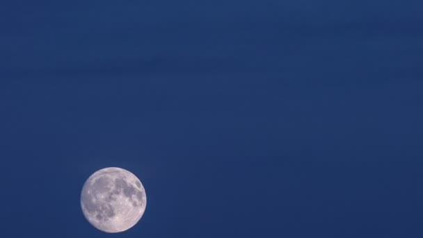 İnanılmaz supermoon. Timelapse. — Stok video