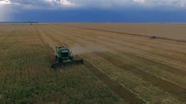 Uçan bir buğday alanın üzerinde. Birçok biçerdöver. Buğday hasat.
