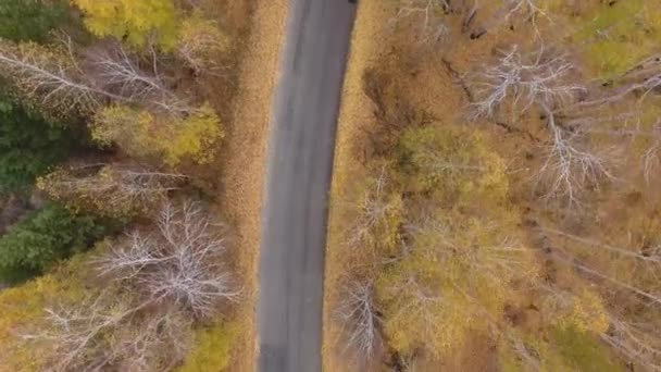 Skog och highway road drönarvy. — Stockvideo