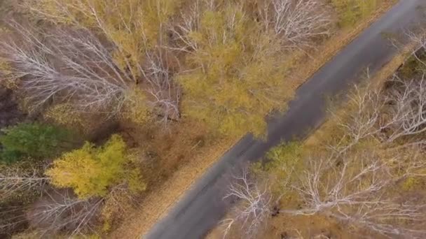 Foresta e autostrada strada drone vista . — Video Stock