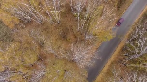 Drohnenblick auf Wald und Autobahn. — Stockvideo