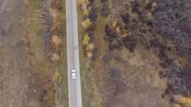 Orman ve Otoban yol dron görünümü.