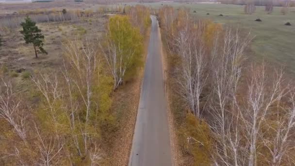Bos en snelweg weg drone weergave. — Stockvideo