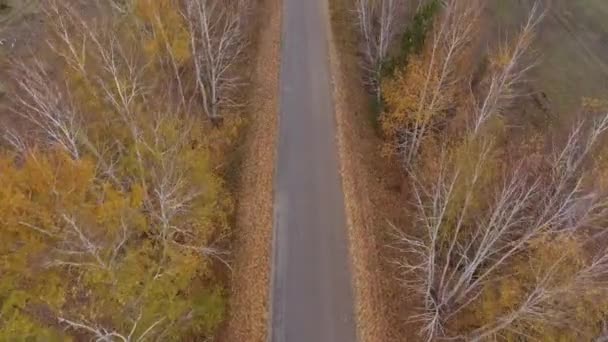 Foresta e autostrada strada drone vista . — Video Stock