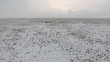 At karla kaplı çölde kışın çalışan sürüsü hava görünümünü. Batı Kazakistan Mangışlak Yarımadası. Özgürlük, güç, bağımsızlık ve hız kavramı.