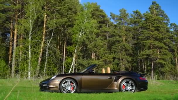 Luxus Braunes Auto Cabriolet Außenansicht Mit Rehleder Der Hellen Sommerwaldlichtung — Stockvideo